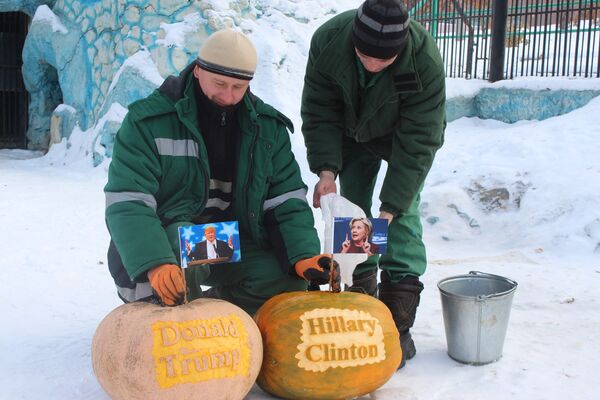 克拉斯諾亞爾斯克動物園 - 俄羅斯衛星通訊社