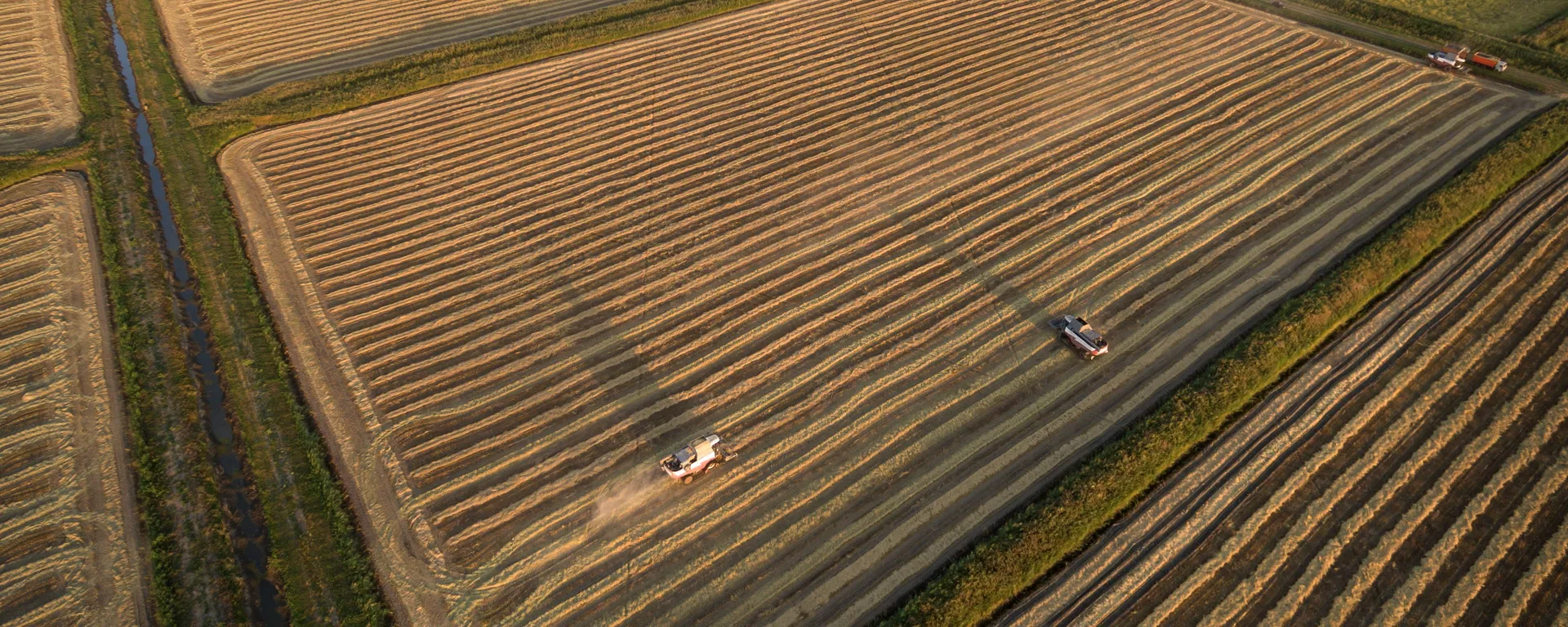 俄烏德穆爾特與中國江蘇省代表就農工領域的合作進行討論 - 俄羅斯衛星通訊社, 1920, 12.09.2023