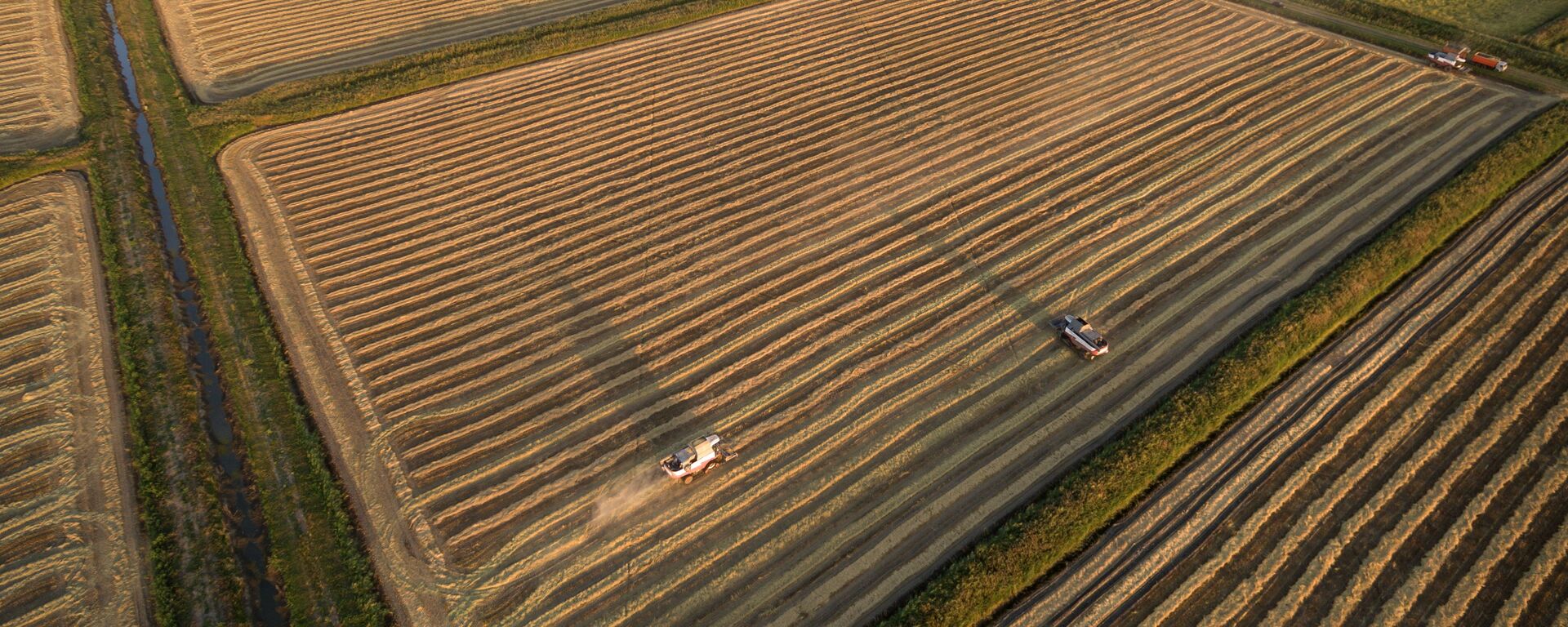 大米 - 俄罗斯卫星通讯社, 1920, 20.04.2025