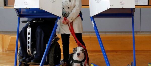 特朗普：俄和其它潜在国家或干涉美选举 - 俄罗斯卫星通讯社