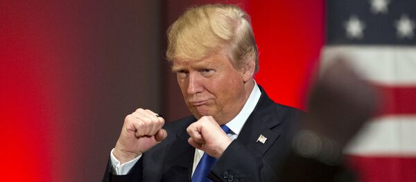 美国总统大选 美国总统大选 - 俄罗斯卫星通讯社