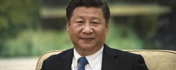 中国国家主席习近平和美国当选总统特朗普同意早日会面 - 俄罗斯卫星通讯社