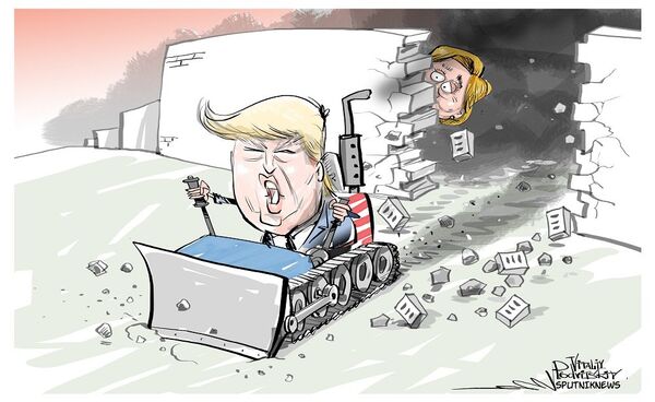 唐納德•特朗普成為美國第45任總統 - 俄羅斯衛星通訊社