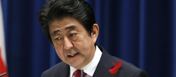 日本首相：一次峰会不能解决俄日和平条约问题 - 俄罗斯卫星通讯社