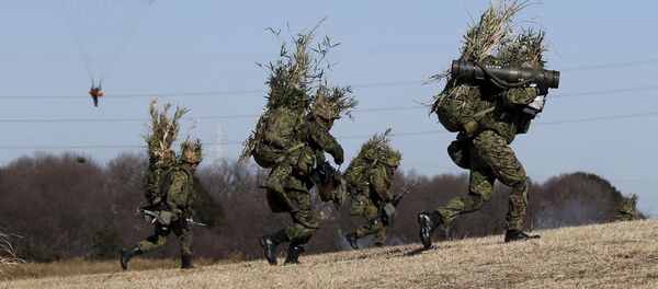 特朗普顧問：美國可能將要求日本增加國防開支 - 俄羅斯衛星通訊社