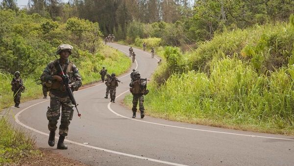 馬來西亞空降兵 - 俄羅斯衛星通訊社