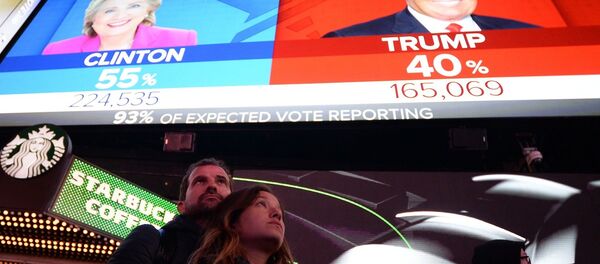 美驻俄大使称美30州选举系统遭俄黑客攻击 - 俄罗斯卫星通讯社