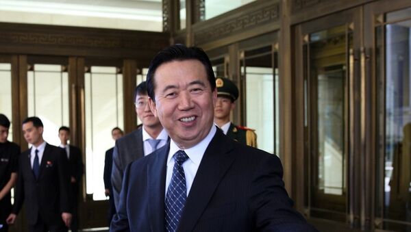 中國人首次被選為國際刑警組織主席 - 俄羅斯衛星通訊社