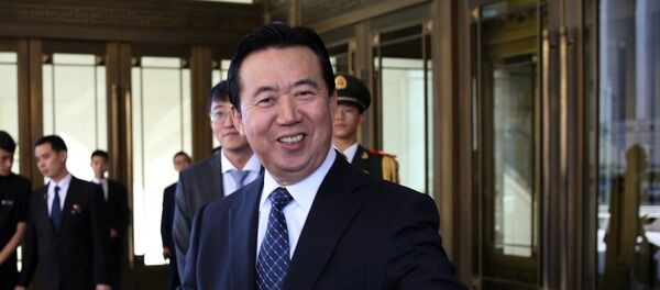 中国人首次被选为国际刑警组织主席 - 俄罗斯卫星通讯社