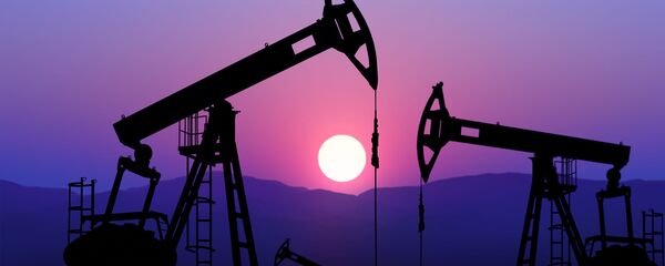 俄經發部部長：油價每桶40美元俄預算將穩定 無需提高稅收 - 俄羅斯衛星通訊社