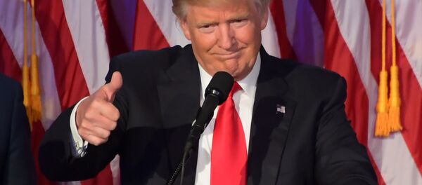 媒体：特朗普试图说服外国调查克林顿家族基金 - 俄罗斯卫星通讯社