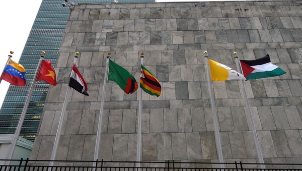 Флаги перед зданием ООН в Нью-Йорке - 俄罗斯卫星通讯社