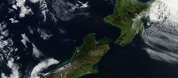 新西兰 - 俄罗斯卫星通讯社