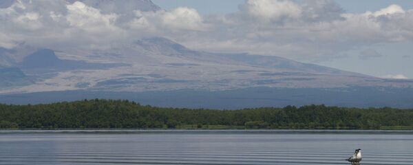 希韦卢奇火山 - 俄罗斯卫星通讯社
