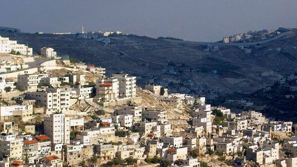 伊斯兰合作组织承认东耶路撒冷为巴勒斯坦首都 - 俄罗斯卫星通讯社