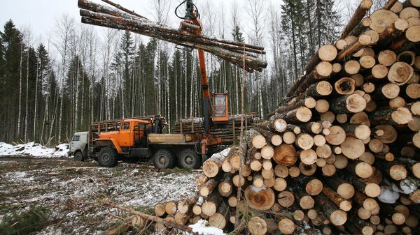 俄羅斯9月對華木材供應規模達到近10萬立方米 - 俄羅斯衛星通訊社