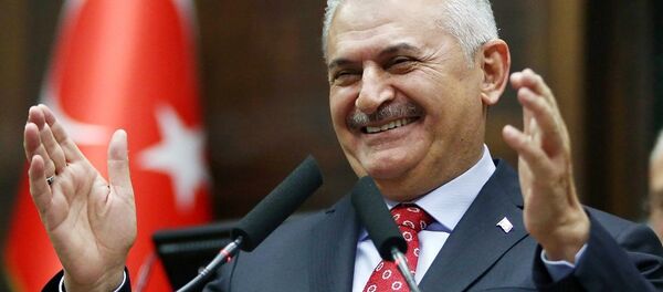 外媒：土耳其总理将于12月初访问俄罗斯 - 俄罗斯卫星通讯社