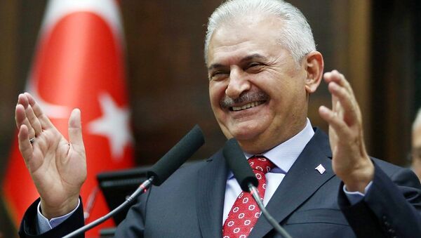外媒：土耳其总理将于12月初访问俄罗斯 - 俄罗斯卫星通讯社