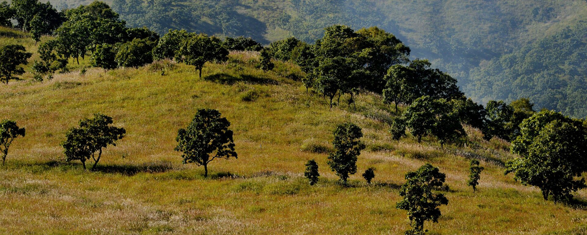 俄远东各地区政府签署阿穆尔河流域生态系统保护宣言 - 俄罗斯卫星通讯社, 1920, 31.08.2021