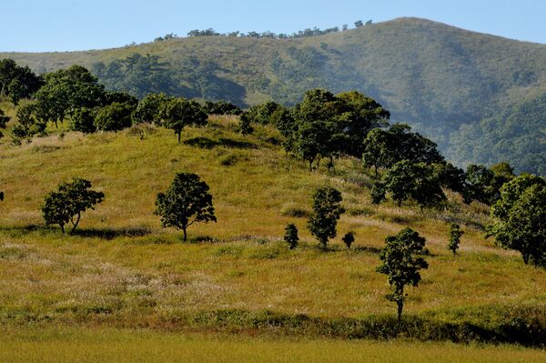 广阔无垠的远东地区 广阔无垠的远东地区 - 俄罗斯卫星通讯社