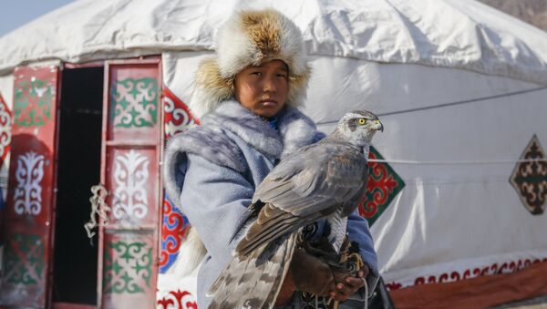 哈薩克斯坦邊防人員阻止向阿聯酋走私價值100萬美元的32只稀有獵隼 - 俄羅斯衛星通訊社