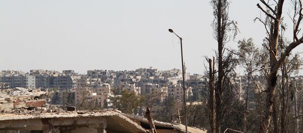 俄總統新聞秘書:俄未恢復對阿勒頗東部恐怖分子的轟炸 俄總統新聞秘書:俄未恢復對阿勒頗東部恐怖分子的轟炸 - 俄羅斯衛星通訊社