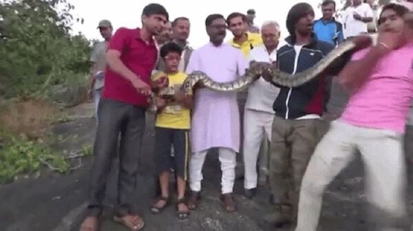 自拍 - 俄羅斯衛星通訊社