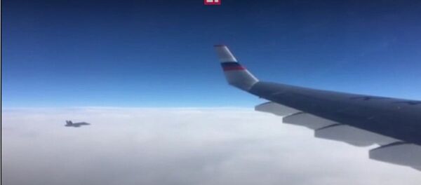 瑞士军机对搭载APEC峰会俄罗斯代表团的飞机进行短时间跟踪 - 俄罗斯卫星通讯社