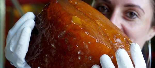 俄加里宁格勒开采出超过1公斤重琥珀原石 - 俄罗斯卫星通讯社