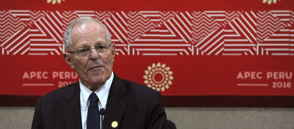 秘鲁总统:期待发展同俄关系 秘鲁总统:期待发展同俄关系 - 俄罗斯卫星通讯社