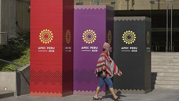 APEC峰会 - 俄罗斯卫星通讯社