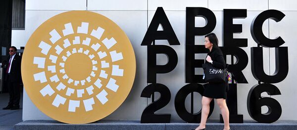 APEC 峰會 APEC 峰會 - 俄羅斯衛星通訊社