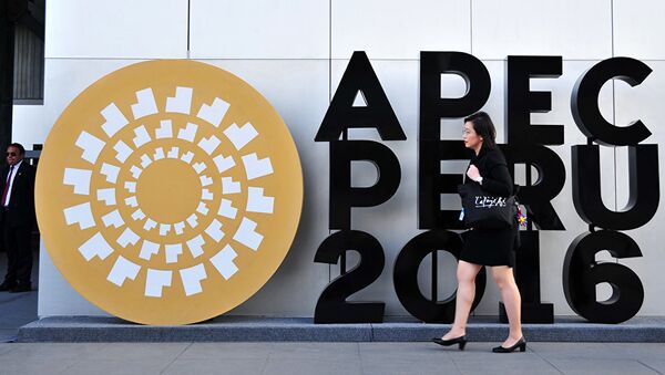 APEC 峰會 - 俄羅斯衛星通訊社