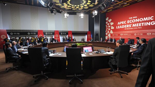 亚太经合组织成员国领导人开始在利马举行峰会第一次工作会议 - 俄罗斯卫星通讯社