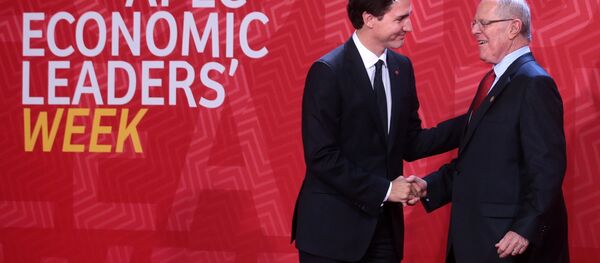 APEC APEC - 俄罗斯卫星通讯社