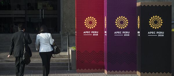 APEC应继续支持多边贸易体制 APEC应继续支持多边贸易体制 - 俄罗斯卫星通讯社