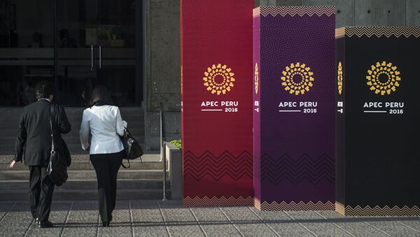 APEC应继续支持多边贸易体制 - 俄罗斯卫星通讯社