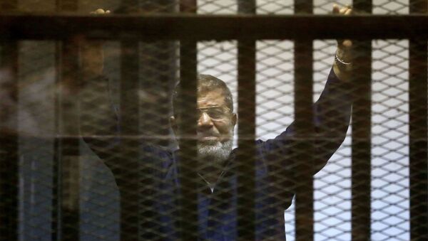 媒體：埃及上訴法院取消因間諜罪對前總統穆爾西的終身監禁判決 - 俄羅斯衛星通訊社
