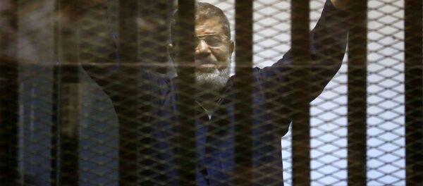 媒体：埃及上诉法院取消因间谍罪对前总统穆尔西的终身监禁判决 - 俄罗斯卫星通讯社