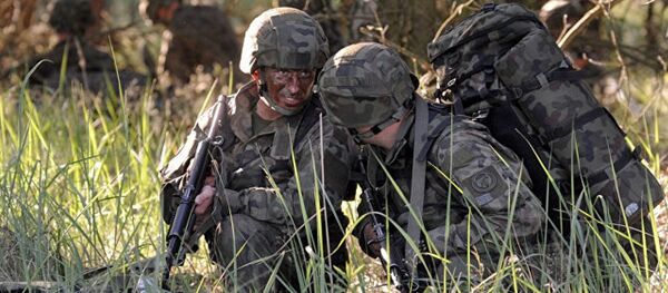 波兰国防部长：北约开始在波兰部署国际营 - 俄罗斯卫星通讯社