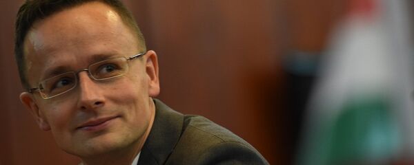 匈牙利外長西亞爾托 - 俄羅斯衛星通訊社