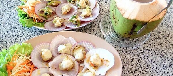 俄濱海邊疆區政府：中國公司欲向濱海邊疆區投資2億美元養殖扇貝 - 俄羅斯衛星通訊社