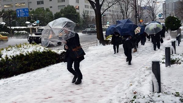 東京1875年以來首次出現11月積雪 - 俄羅斯衛星通訊社