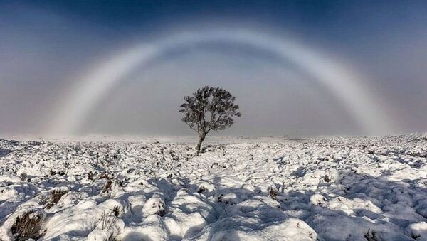 英國攝影師拍到罕見“白色彩虹” - 俄羅斯衛星通訊社