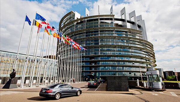 欧洲议会通过一份呼吁暂停土耳其入欧谈判的决议   - 俄罗斯卫星通讯社