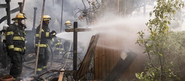 以色列情报部长称国内不少火灾系纵火 - 俄罗斯卫星通讯社
