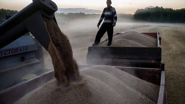 美國稱俄擴大小麥出口對美造成威脅 - 俄羅斯衛星通訊社