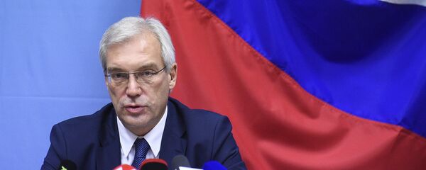 俄罗斯常驻北约代表亚历山大·格鲁什科 - 俄罗斯卫星通讯社