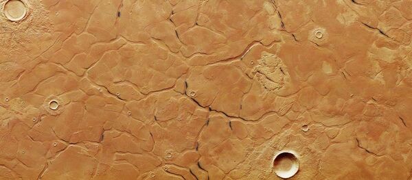 火星上發現一個神秘迷宮 - 俄羅斯衛星通訊社