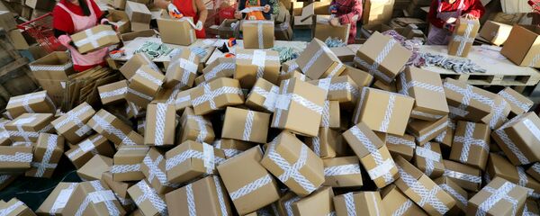 媒體：今年第一季度哈爾濱對俄航空小包業務量同比增長兩倍 - 俄羅斯衛星通訊社